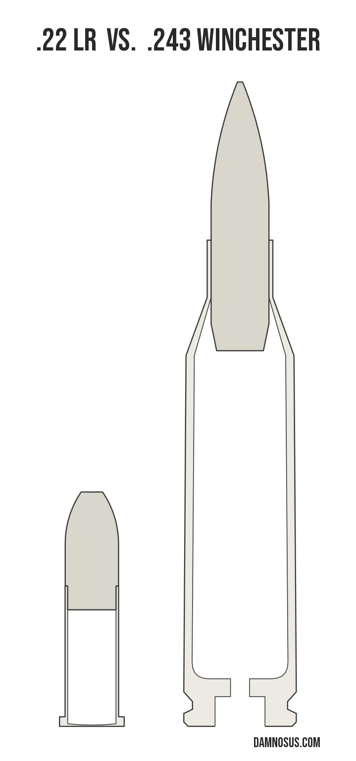 .22 LR vs .243 Winchester cartridge size comparison, drawn to scale and aligned at the case head.