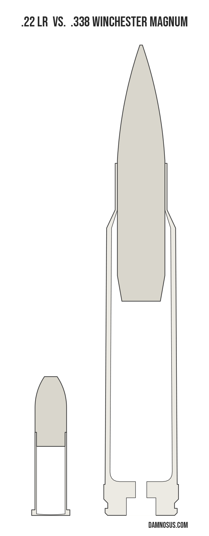 .22 LR vs .338 Winchester Magnum cartridge size comparison, drawn to scale and aligned at the case head.