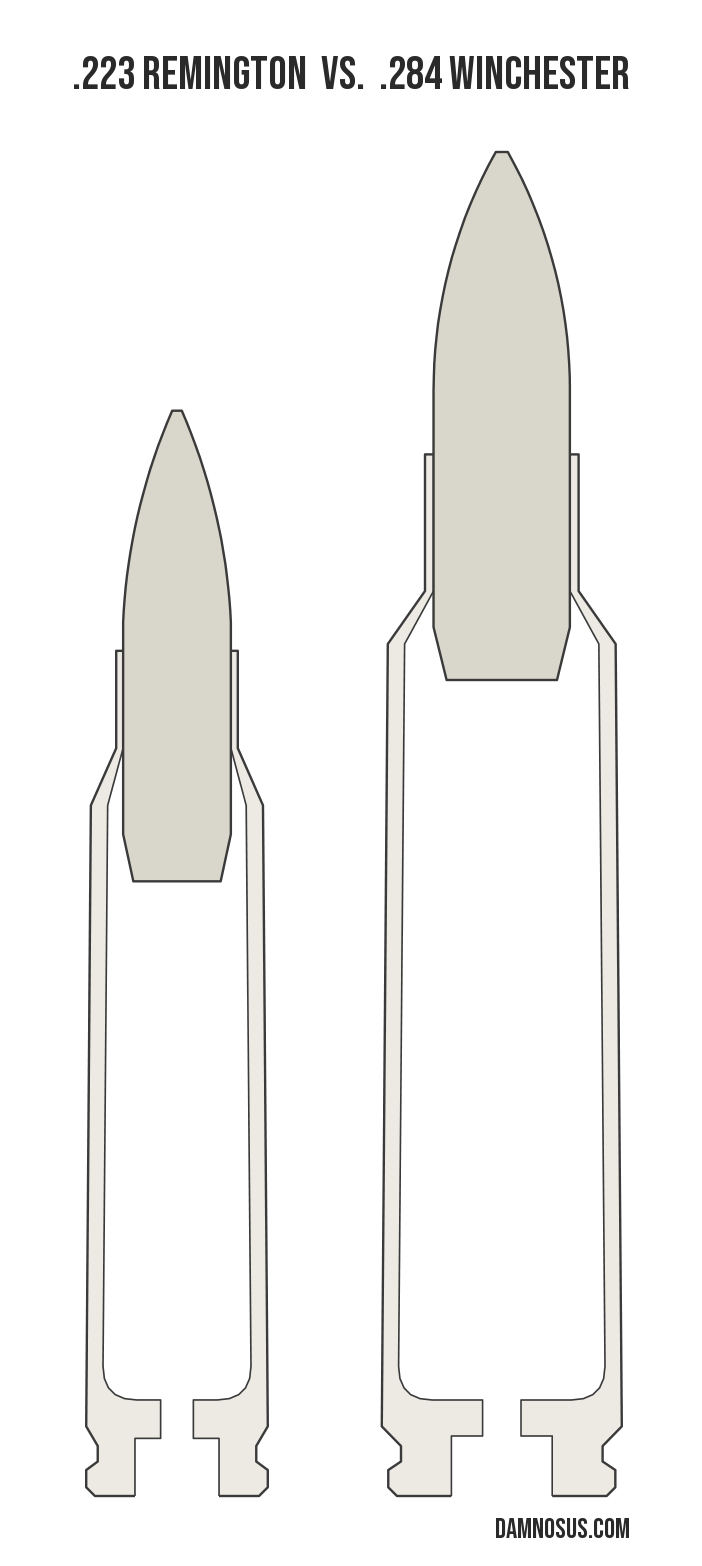 .223 Remington vs .284 Winchester cartridge size comparison, drawn to scale and aligned at the case head.