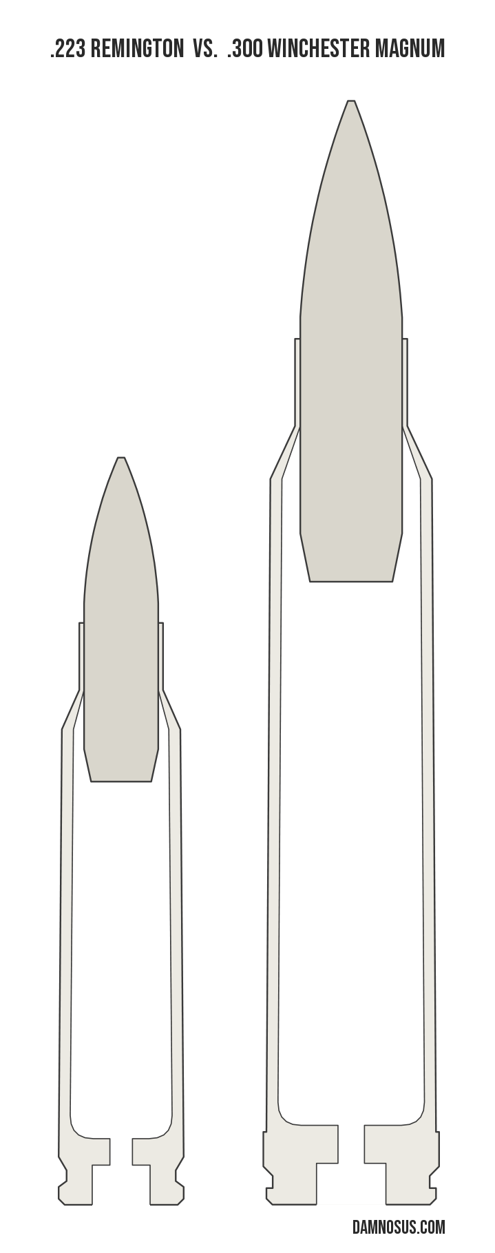 .223 Remington vs .300 Winchester Magnum cartridge size comparison, drawn to scale and aligned at the case head.