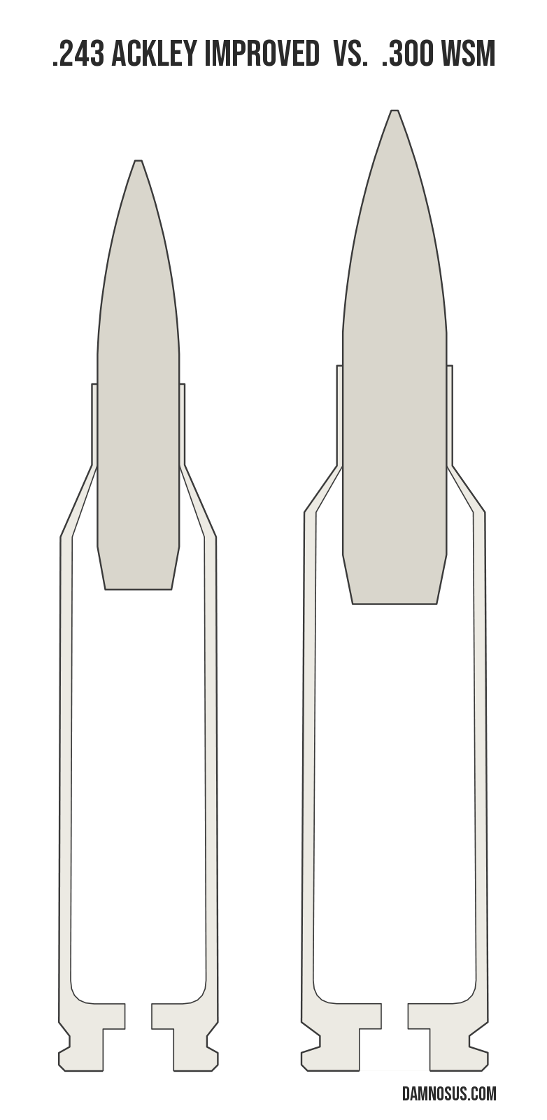 .243 Ackley Improved vs .300 WSM cartridge size comparison, drawn to scale and aligned at the case head.