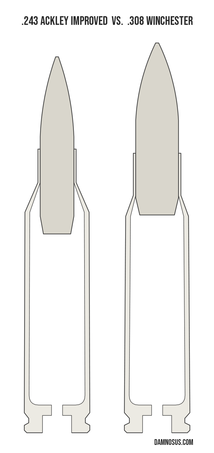 .243 Ackley Improved vs .308 Winchester cartridge size comparison, drawn to scale and aligned at the case head.