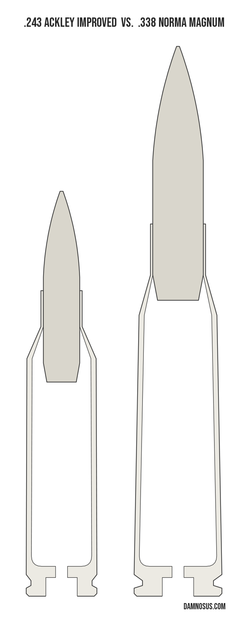 .243 Ackley Improved vs .338 Norma Magnum cartridge size comparison, drawn to scale and aligned at the case head.