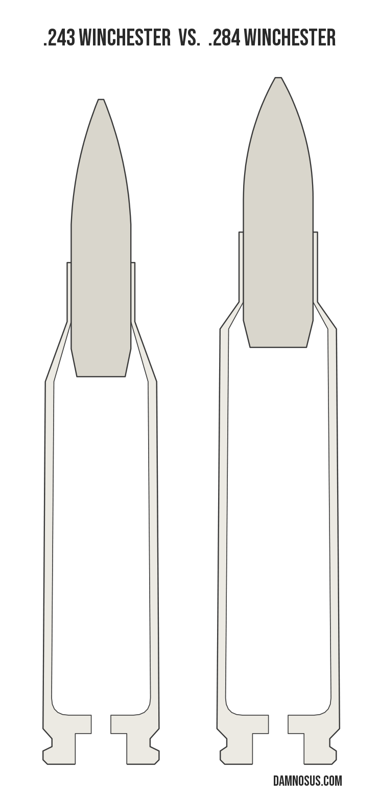 .243 Winchester vs .284 Winchester cartridge size comparison, drawn to scale and aligned at the case head.