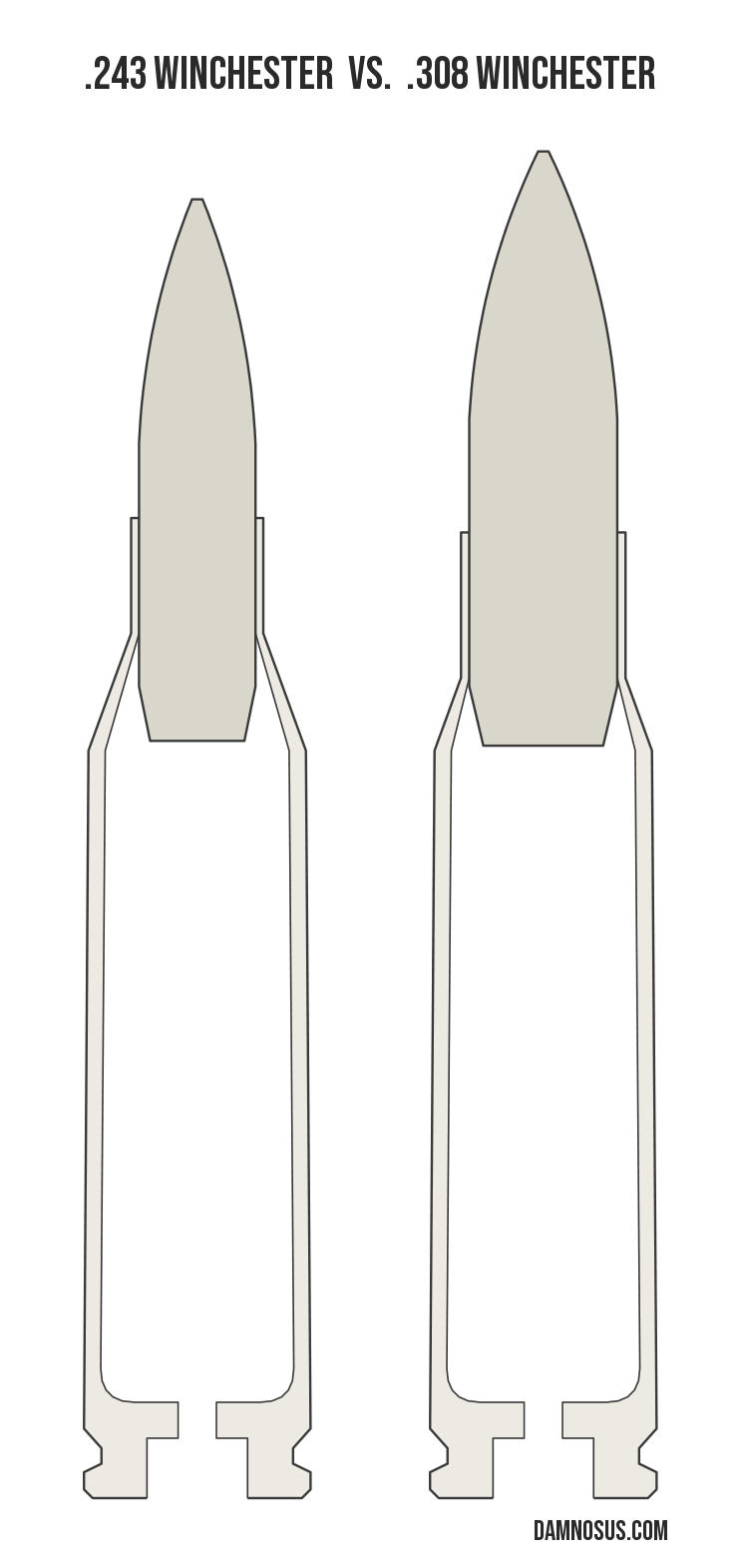 .243 Winchester vs .308 Winchester cartridge size comparison, drawn to scale and aligned at the case head.